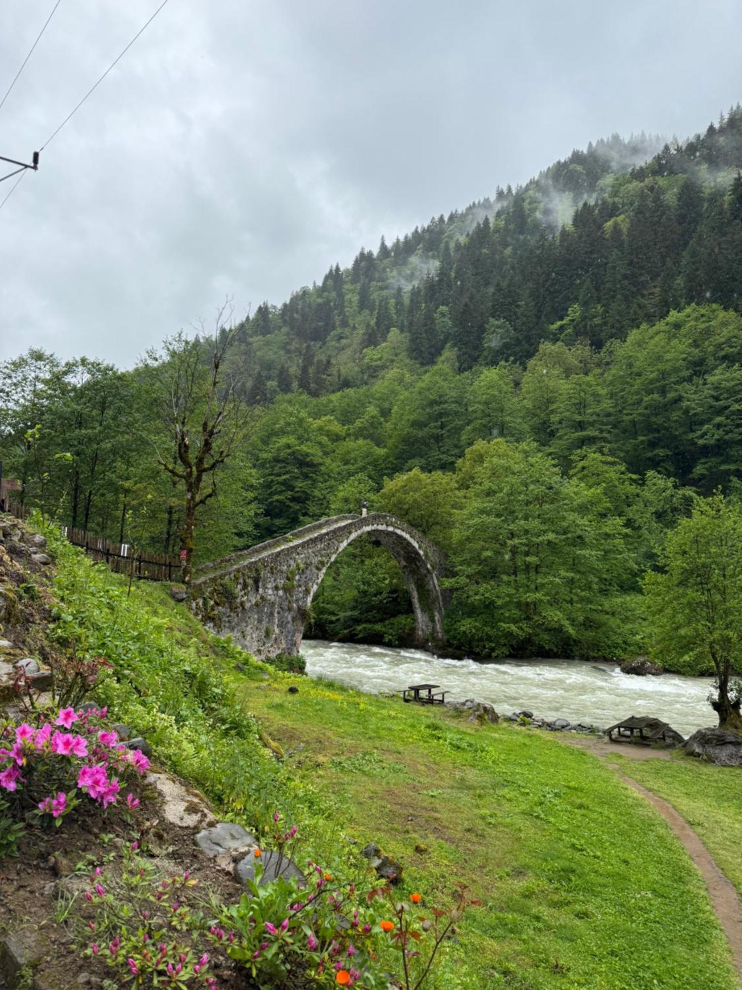 Berona Dag Evleri Çamlıhemşin Extérieur photo